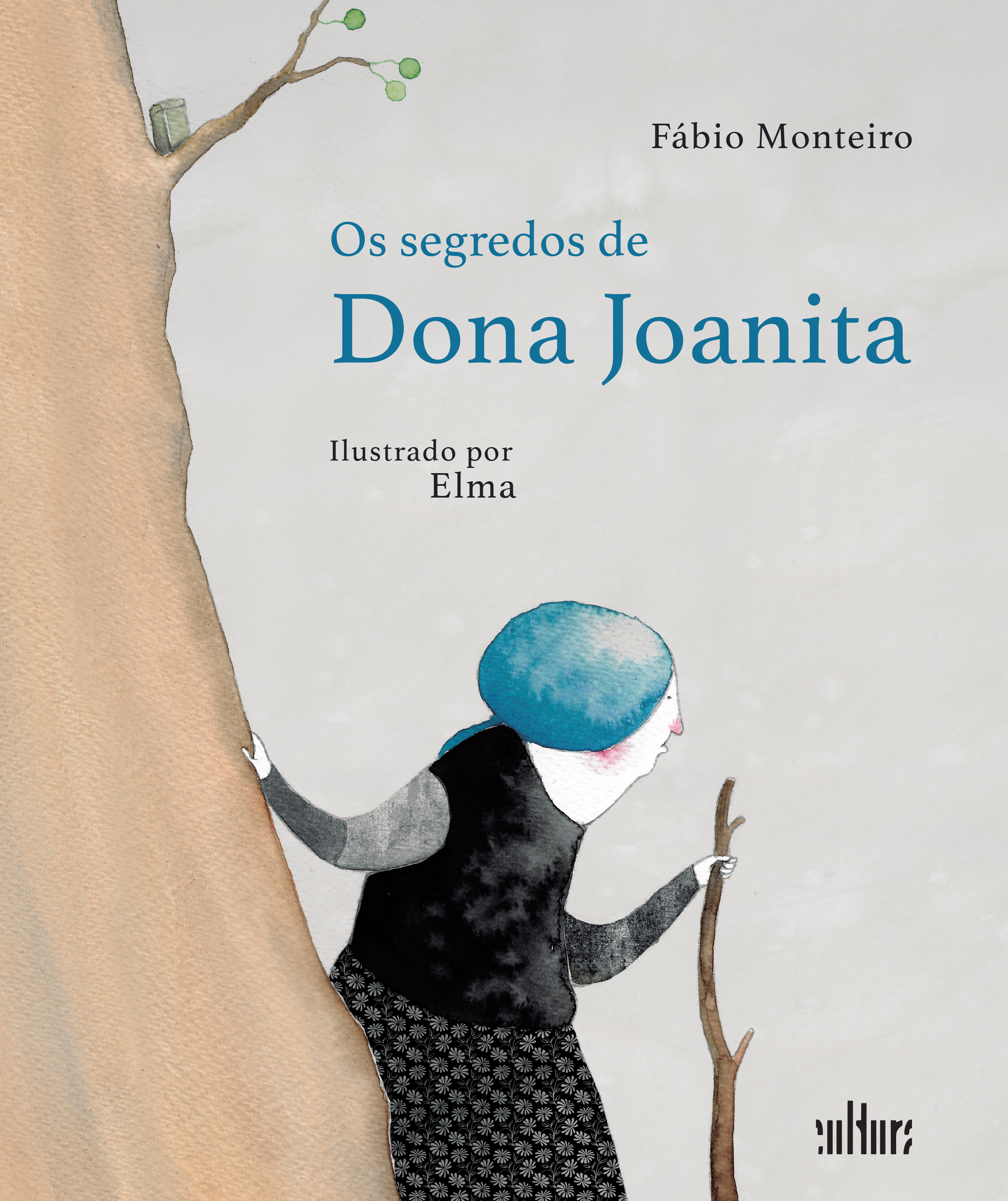 Capa: SEGREDOS DE DONA JOANITA, OS, de Fábio Monteiro
